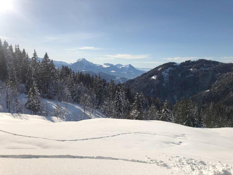 Appartement Cosy 3/4 Personnes A 5 Min Des Pistes. Saint-Jean-dʼAulps 外观 照片