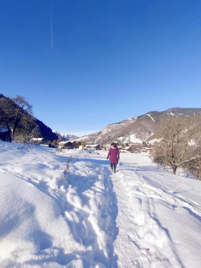 Appartement Cosy 3/4 Personnes A 5 Min Des Pistes. Saint-Jean-dʼAulps 外观 照片
